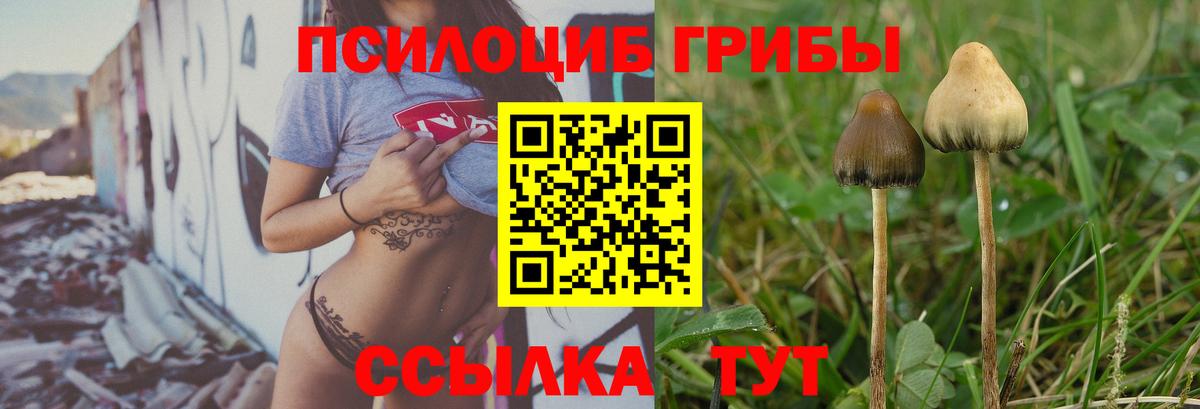 купить наркотики сайты  Вход с VPN  Усть-Джегута  Галлюциногенные грибы GOLDEN TEACHER 