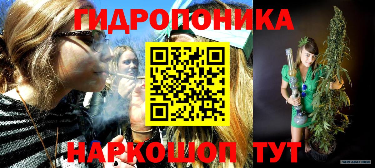 Канабис AK-47  Вход с VPN  Бошки марихуана SATIVA & INDICA  Усть-Джегута  Бошки марихуана сатива  Бошки Шишки семена 